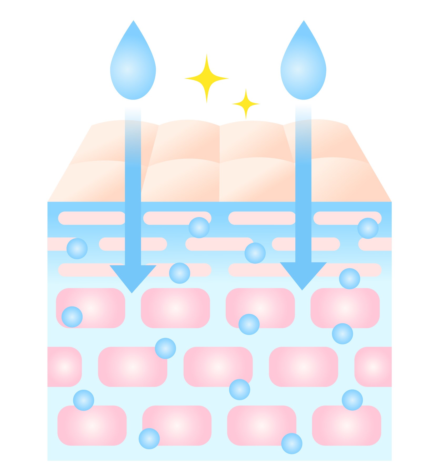 浸透ケアのイメージ図