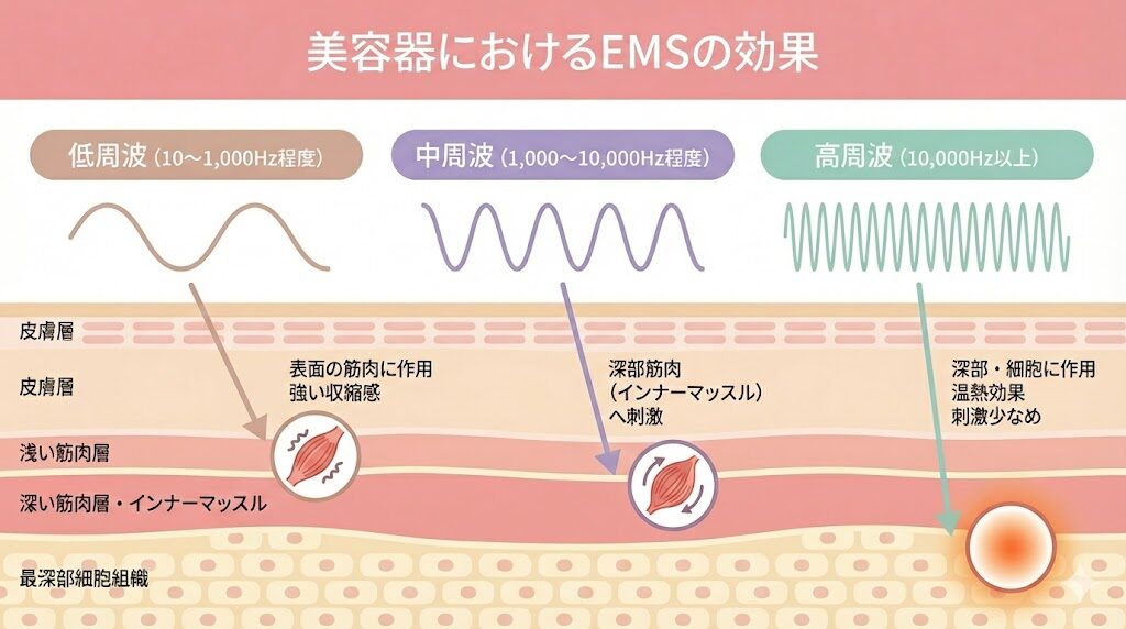 美顔器のEMSの周波数の特徴