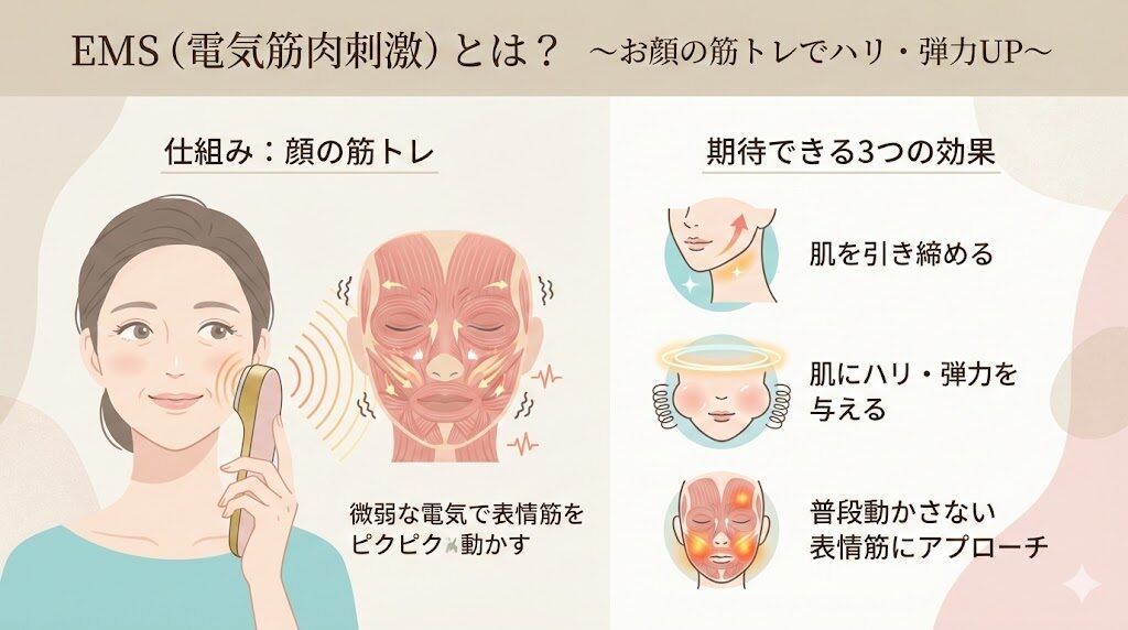 EMS(電気筋肉刺激)とは