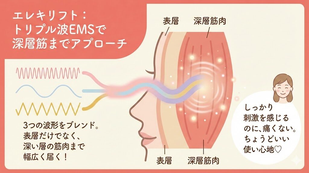 エレキリフト　トリプル派EMS