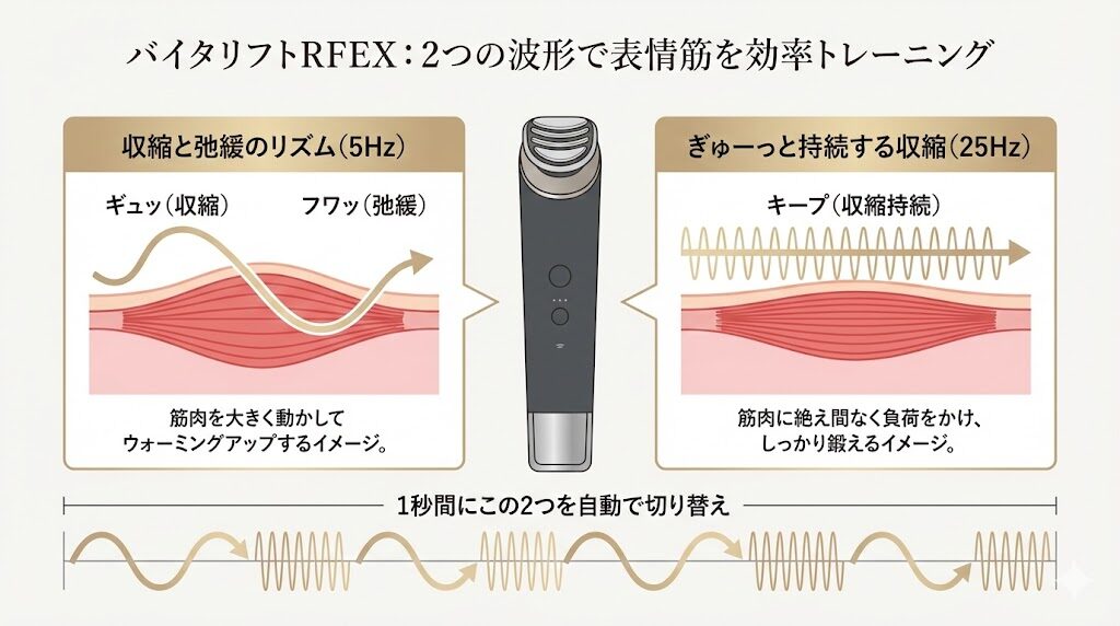 バイタリフトRFEX　EMSの特徴