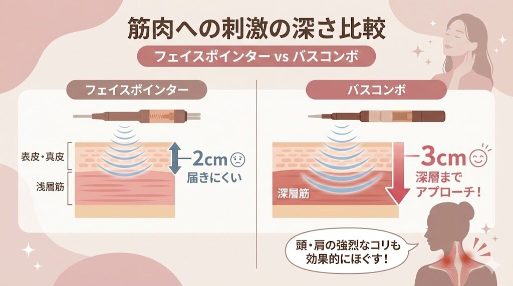 フェイスポインターとバスコンボの筋肉への刺激の深さの比較